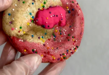 CIRCUS ANIMALS STUFFED PROTEIN COOKIE